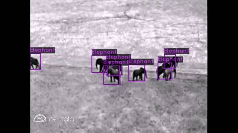 Neurala, l'intelligence artificielle qui, associée à des drones, aide à préserver la faune