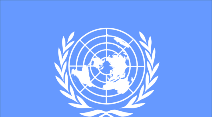 Les plus grands spécialistes de l'IA et de la robotique alertent les Nations Unies