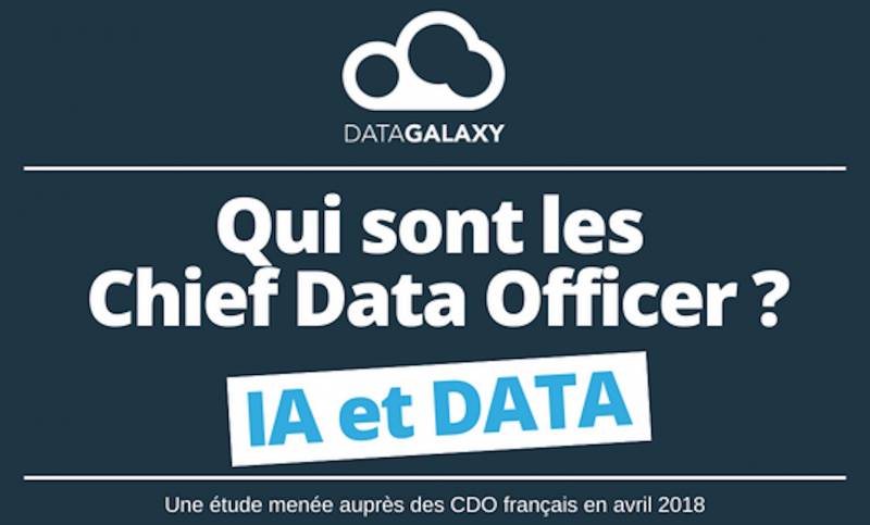 Qui sont les Chief Data Officer ? Découvrez le résultat de l'enquête menée par DataGalaxy