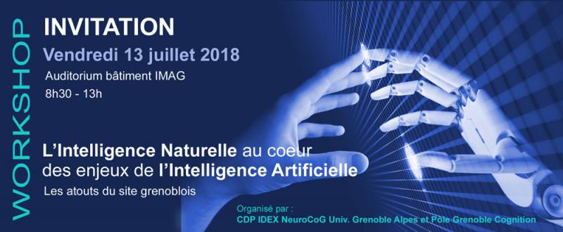 Workshop "L’Intelligence Naturelle au cœur des enjeux de l’Intelligence Artificielle" - le 13 juillet à Grenoble