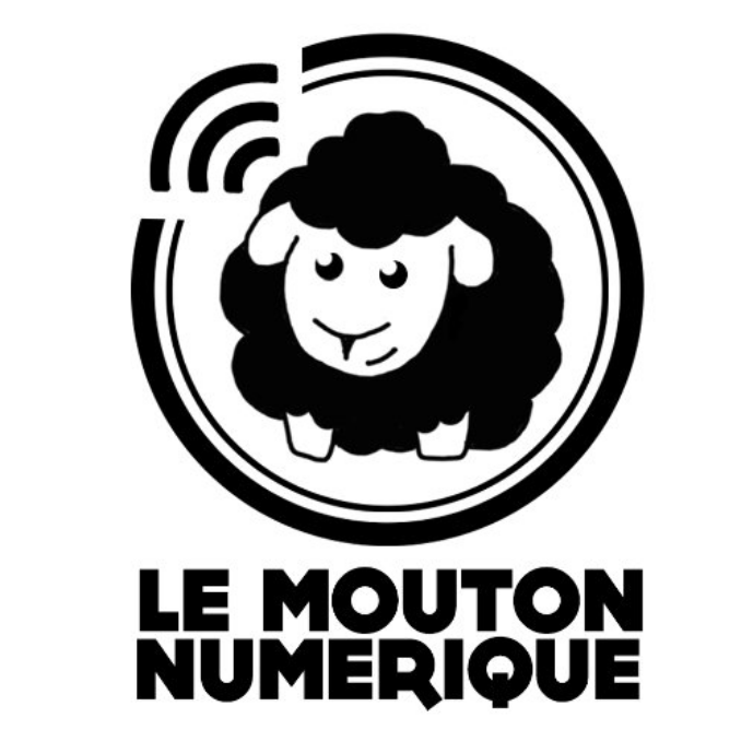 Data BuzzWord #5 : Suite de l'échange avec Irénée Régnauld