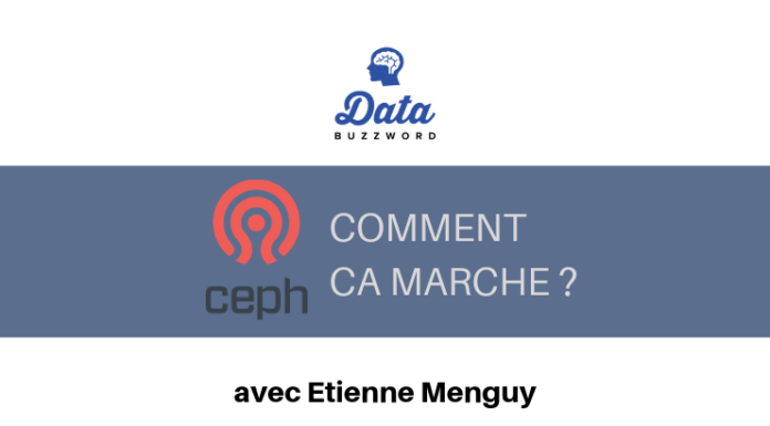 Data BuzzWord #13 : Stockage : Qu'est-ce que CEPH et comment ça marche ?