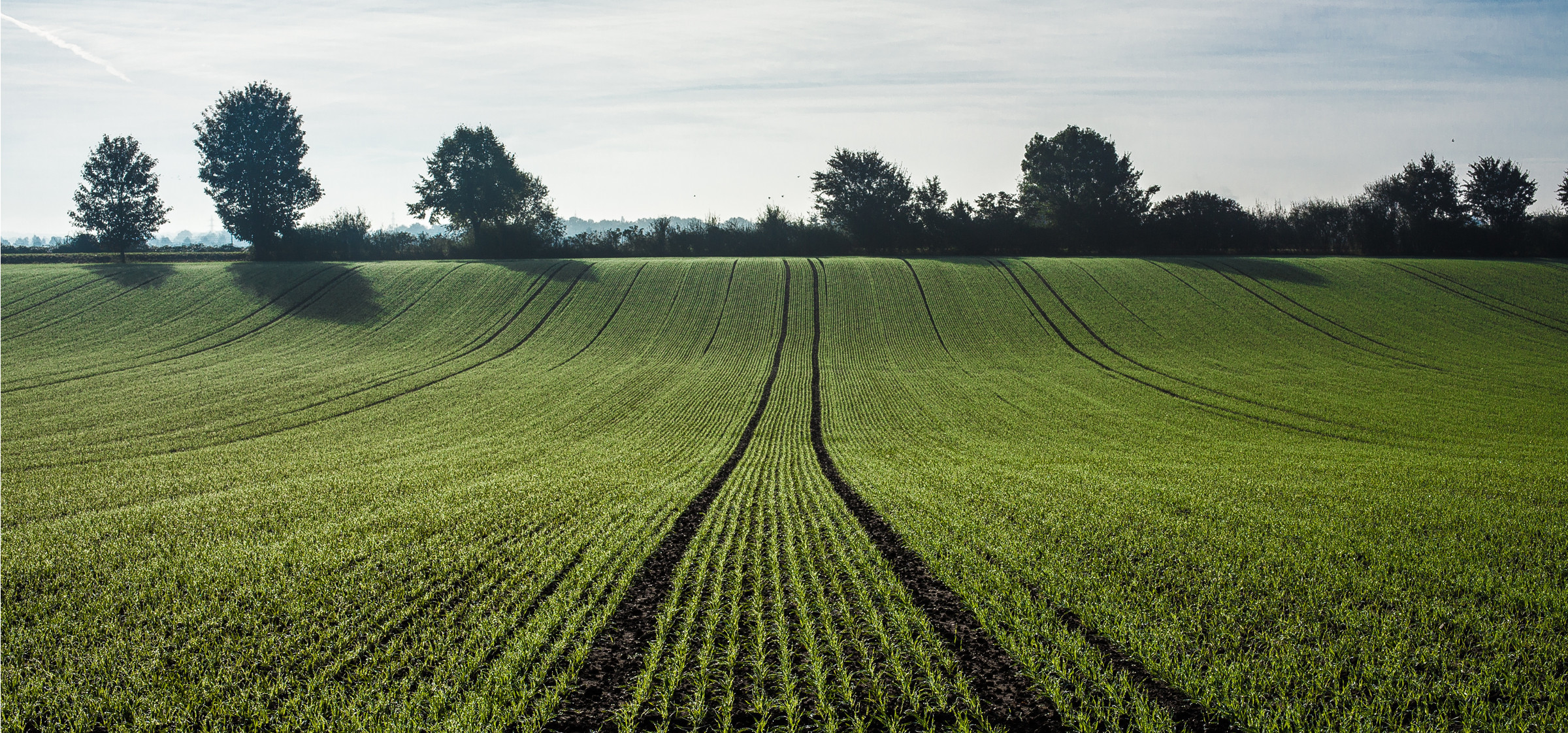 AgTech : La start-up rennaise Dilepix lève 1 million d'euros