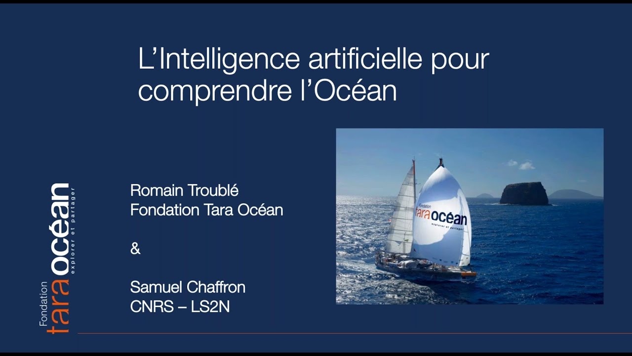 Replay webinaire : L'intelligence artificielle pour comprendre l'Océan