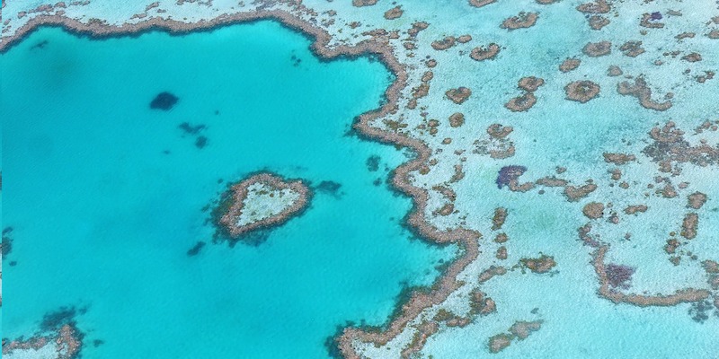 Journée mondiale de l’océan : L’UNESCO présente des cas d’usage de la technologie pour un océan durable