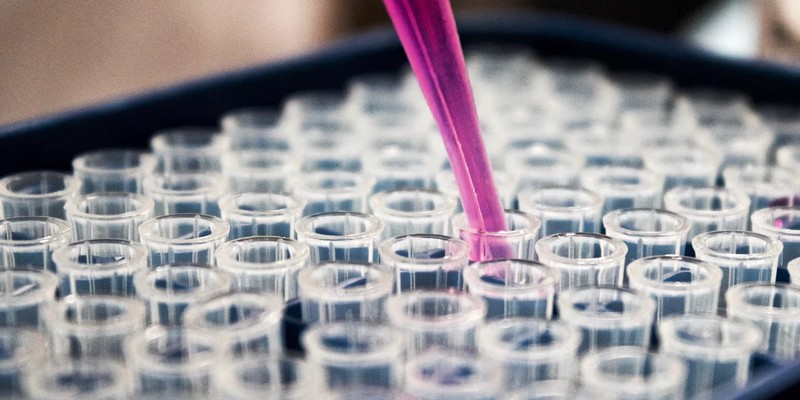 Généthon et WhiteLab Genomics vont collaborer afin d'utiliser l'IA dans le cadre de la thérapie génique