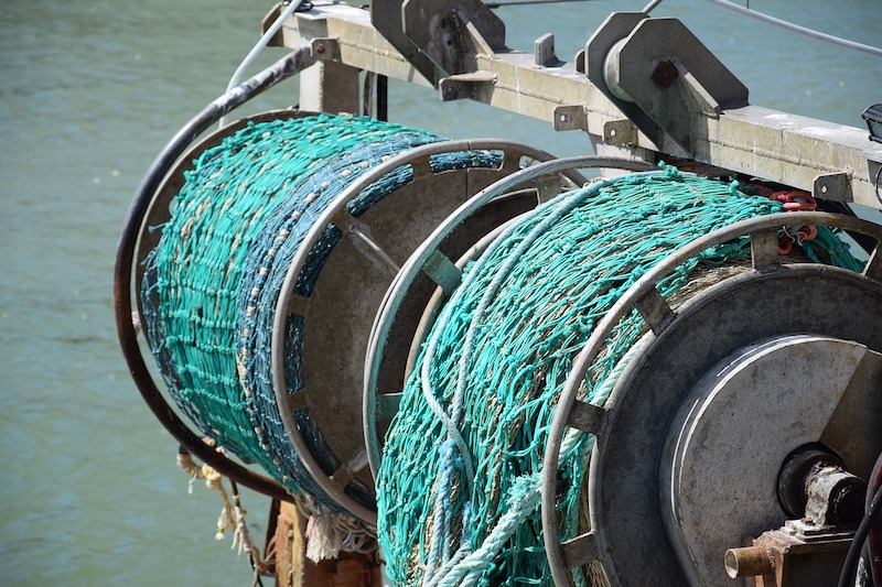 Deep Fish, la plateforme de l'université d'Alicante pour préserver les espèces du bassin méditerranéen