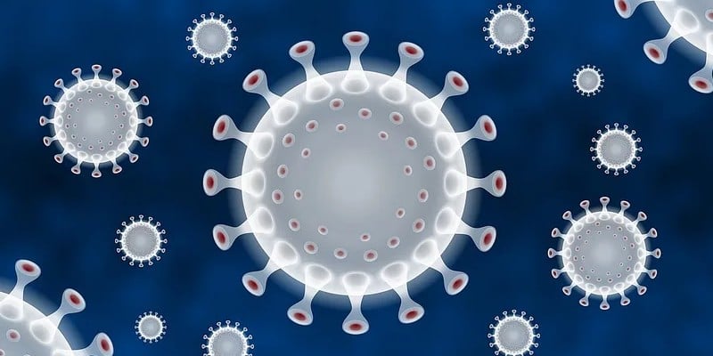 Un modèle de machine learning permet de mieux comprendre le fonctionnement des lymphocytes