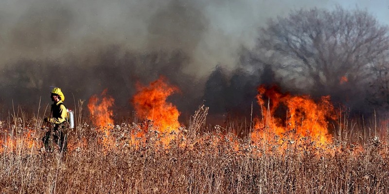 RADRFIRE : un outil interactif utilisant satellites et IA pour aider les pompiers à lutter contre les feux de forêts