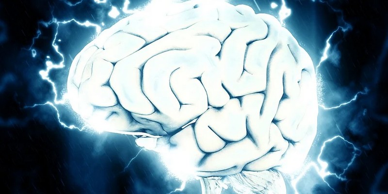 Une avancée dans la compréhension des mécanismes de réponse face au danger grâce à l'intelligence artificielle