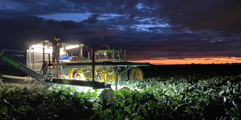 Focus sur le robot SAMI 4.0 comme solution à la pénurie de main-d'œuvre  agricole au Québec