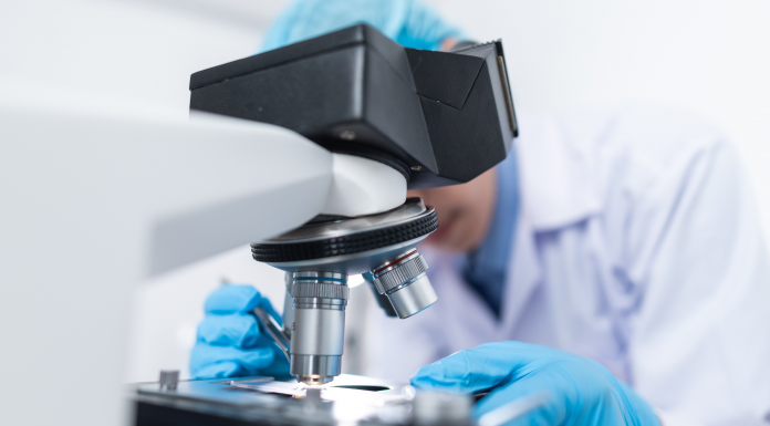 Des chercheurs de l'Université d'Anvers étudient le rôle des lymphocytes T grâce à l'Intelligence Artificielle