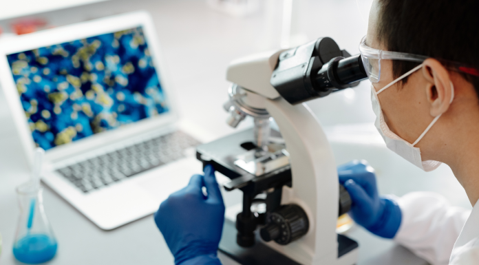 Des chercheurs munichois développent des méthodes d'IA pour la recherche biomédicale de nouvelle génération