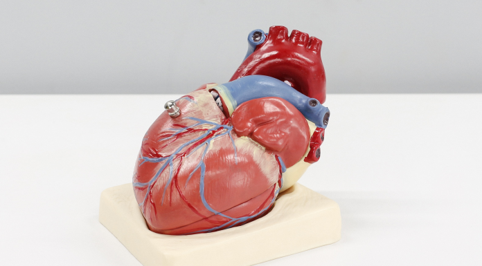Deep learning : des chercheurs de l'Université Johns Hopkins présentent une nouvelle approche pour la prédiction des crises cardiaques dues à l'arythmie cardiaque