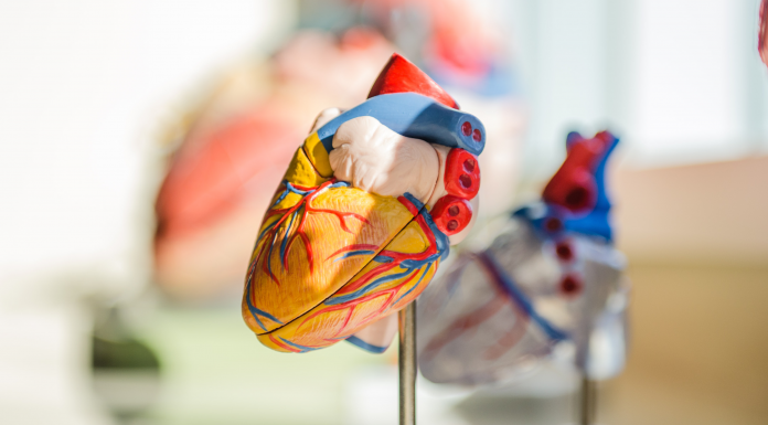 Intelligence artificielle : Un algorithme pourrait prédire les risques de crise cardiaque