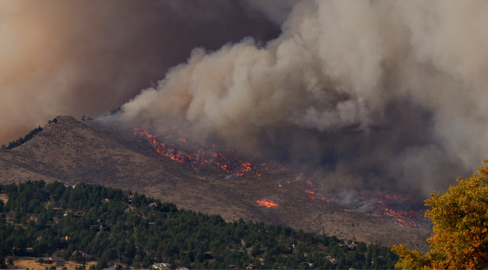Quel rôle l'intelligence artificielle joue-t-elle dans la lutte contre les incendies de forêt ?