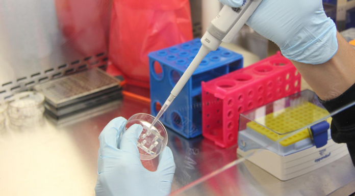 Ce modèle de machine learning détecte les contaminations microbiennes dans les cultures cellulaires