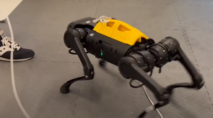 DayDreamer : former les robots dans le monde réel grâce à l'apprentissage par renforcement en ligne