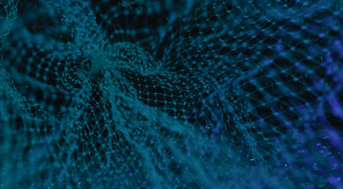 Prédire la fonction des protéines grâce au deep learning