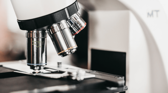 Classifier les cancers primitifs non diagnostiqués grâce au deep learning