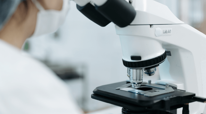 Des chercheurs de l'Institut Pasteur lancent une plateforme ouverte de partage de données de microscopie super-résolutive
