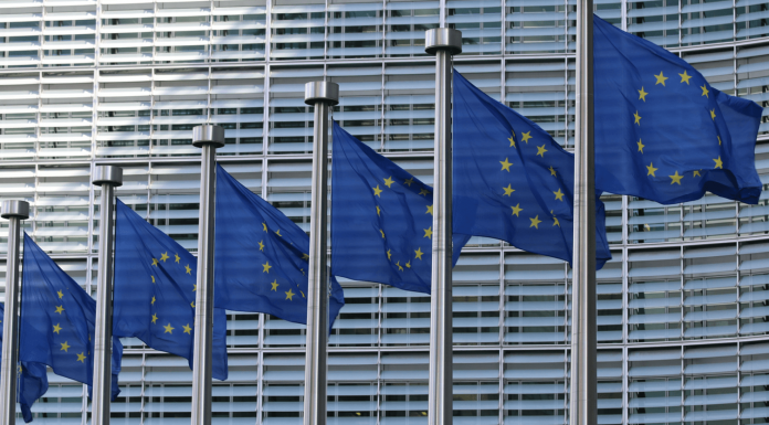 Selon le projet de demande de normalisation de la Commission Européenne, l'ETSI ne jouera qu'un rôle mineur
