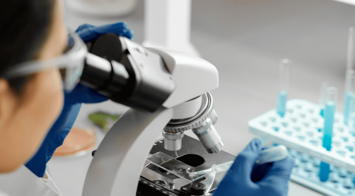 La biotech Vésale Bioscience obtient une subvention de 1,8 million d'euros du fonds EIC