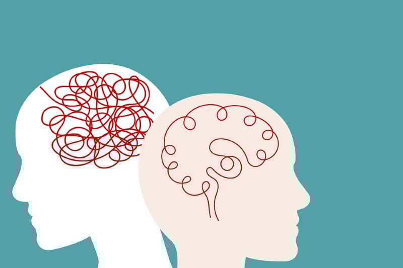 Lancement de l’APP « Mécanismes de la Résilience et de la Vulnérabilité face aux facteurs de stress en santé mentale »