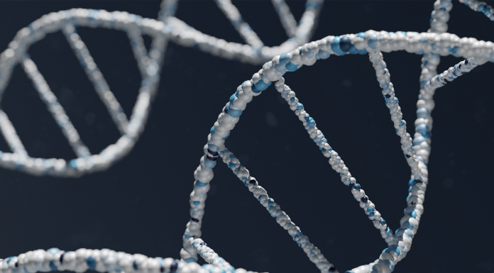 WhiteLab Genomics, lauréat du French Tech Health20, intègre France BioLead