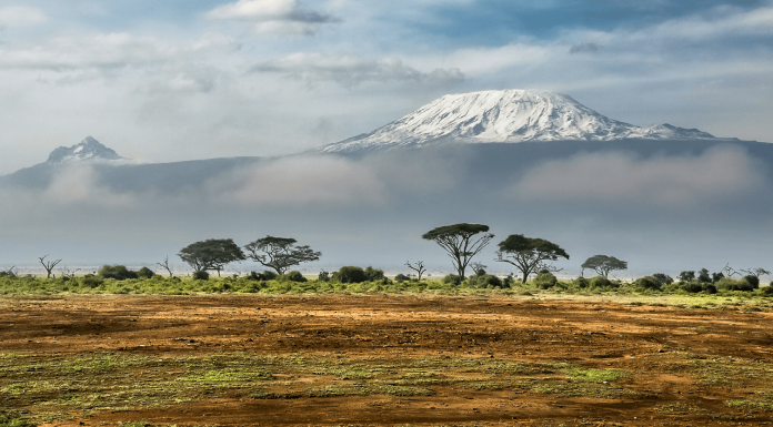 La deeptech Amini lève 2 millions de dollars pour répondre à la pénurie de données environnementales en Afrique
