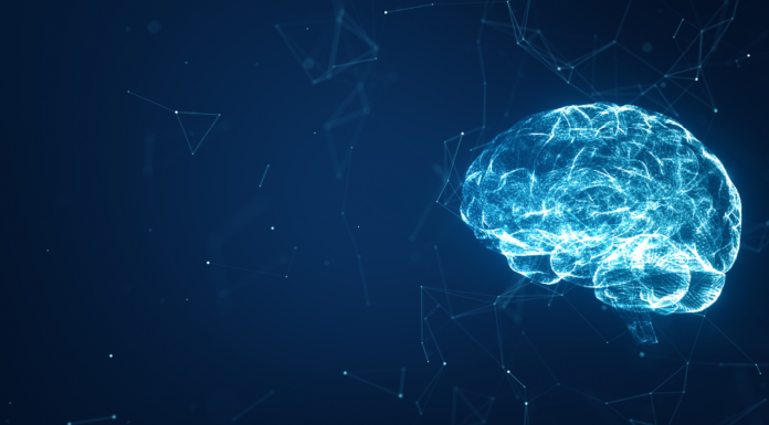 Transvalor et CentraleSupélec s'associent pour lancer une chaire de recherche industrielle dédiée à l'IA