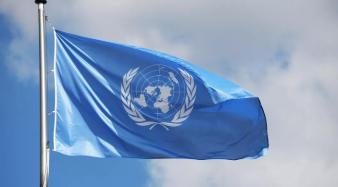 Conseil de Sécurité de l'ONU : la fin des robots tueurs pour 2026 ?