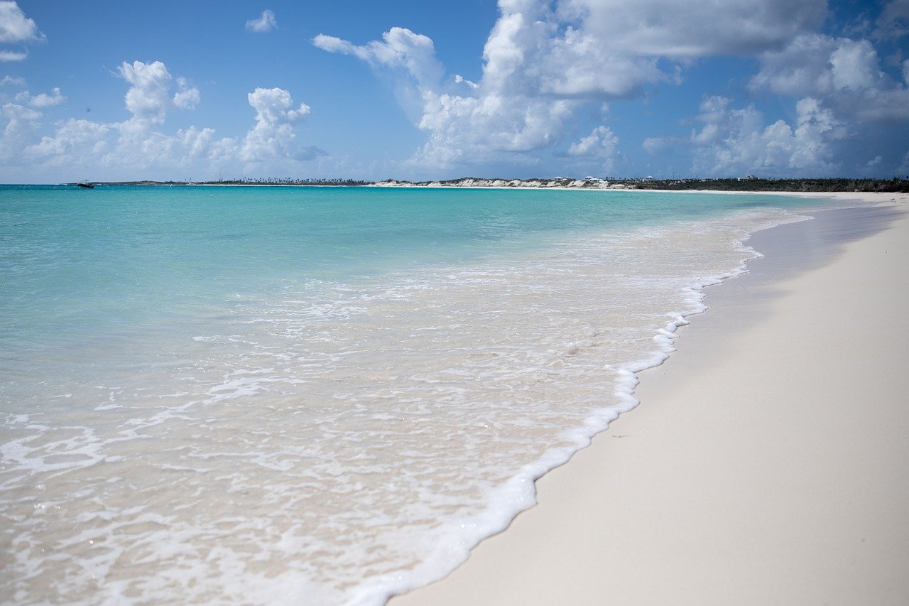 Comment une petite île caribéenne brille dans le monde de l'intelligence artificielle