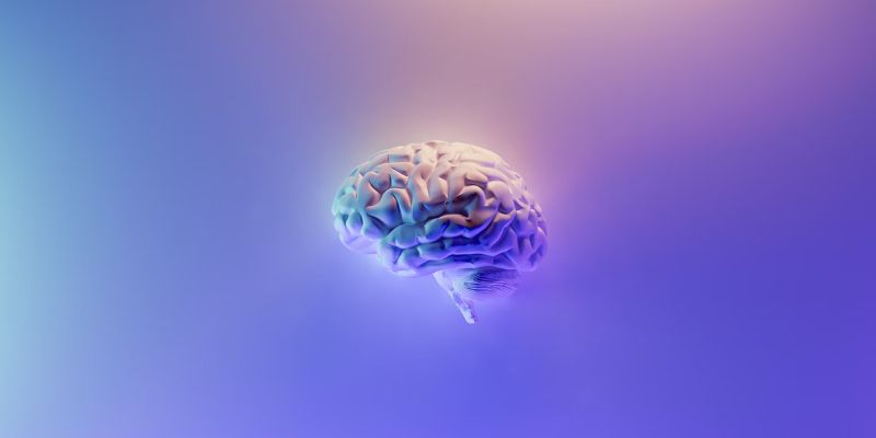 IA : La supériorité du cerveau humain sur les algorithmes d'apprentissage viendrait-elle de la configuration prospective ?
