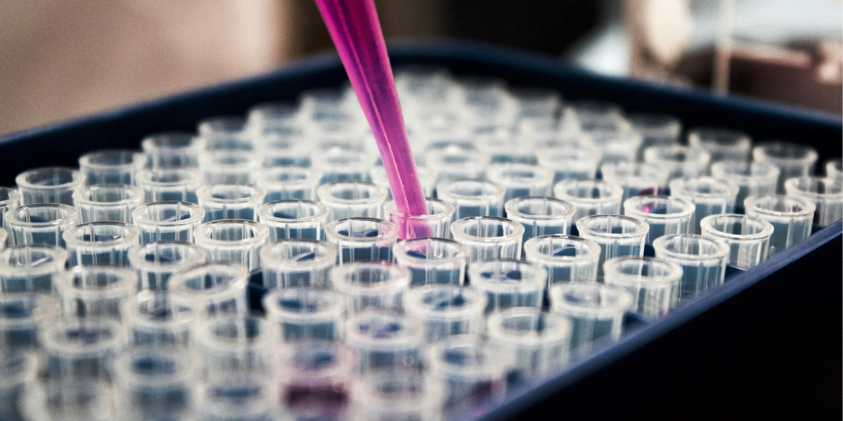 À la découverte de Bioptimus, la start-up française qui veut accélérer l'innovation dans la biomédecine grâce à l'IA