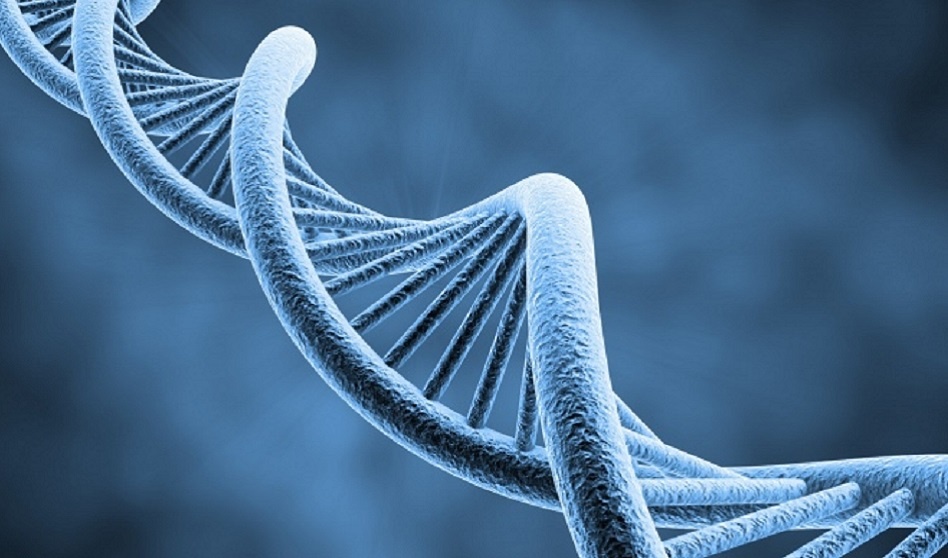 Génomique :  Together AI dévoile EVO, un modèle de pointe ouvrant de nouvelles perspectives pour la biologie computationnelle