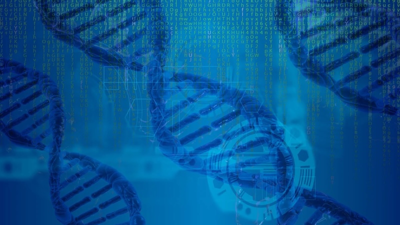 Neuroplateforme de FinalSpark : la bioinformatique au service de l'environnement