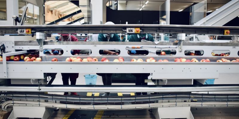 La FAO mise sur l'IA pour la transformation des systèmes agroalimentaires mondiaux