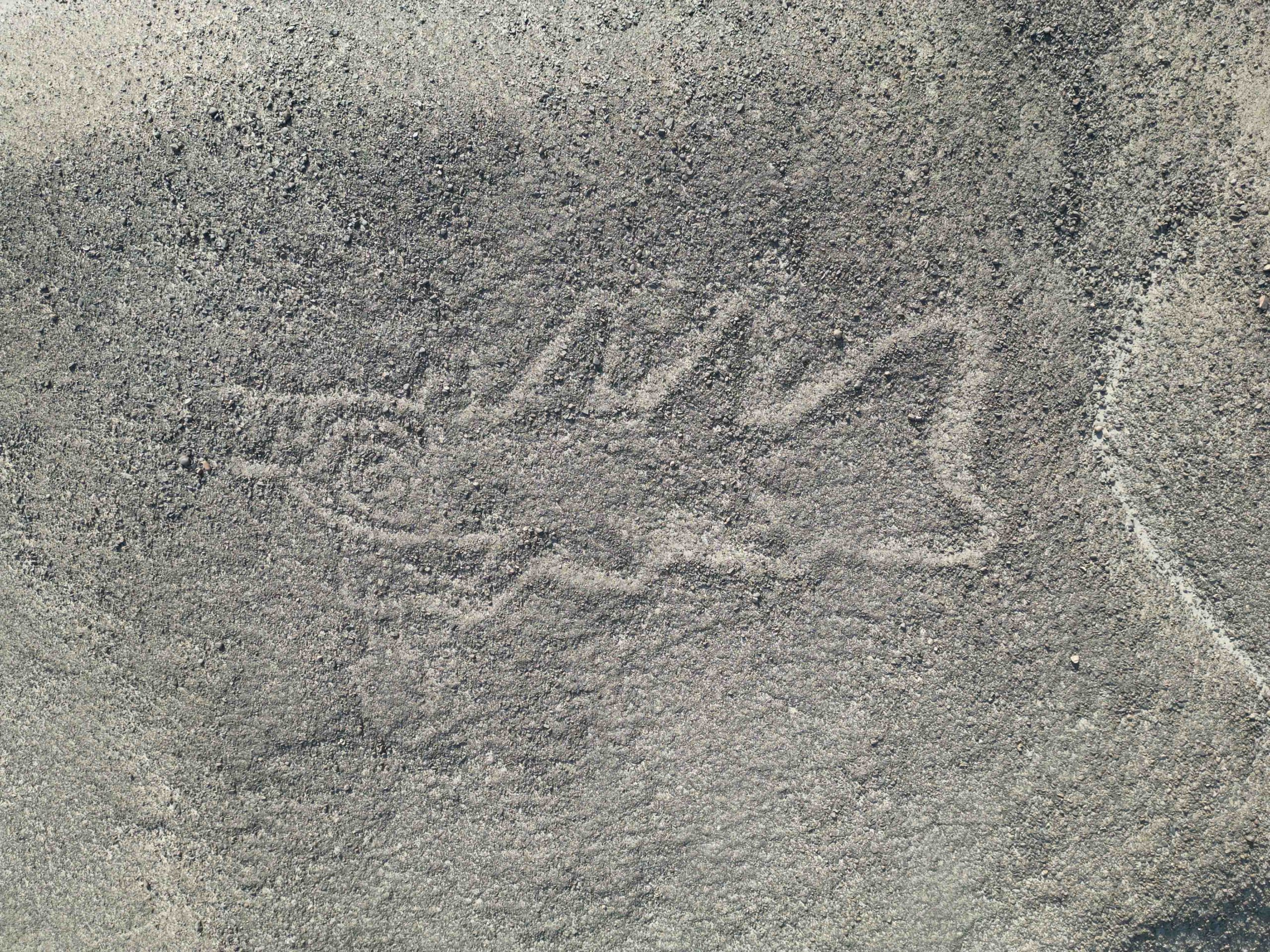 Archéologie : un modèle d'IA d'IBM Research permet d'identifier 303 nouveaux géoglyphes de Nazca