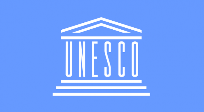 Afrique du Sud : l'UNESCO apportera son expertise sur l'intelligence artificielle au G20 2025