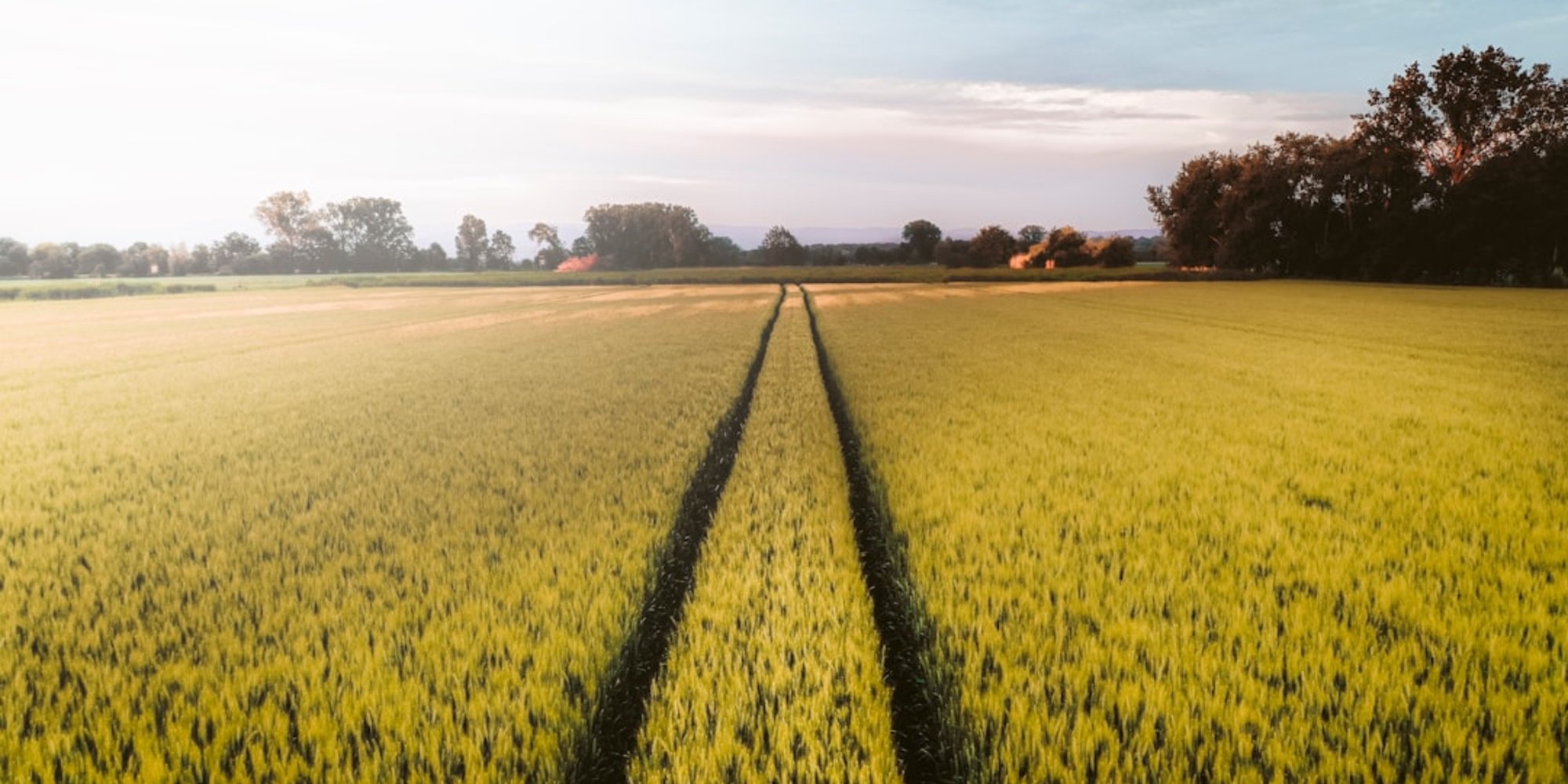 Accélérer la transition écologique grâce au partage des données : la Caisse des Dépôts lance la 3ème édition de TechSprint