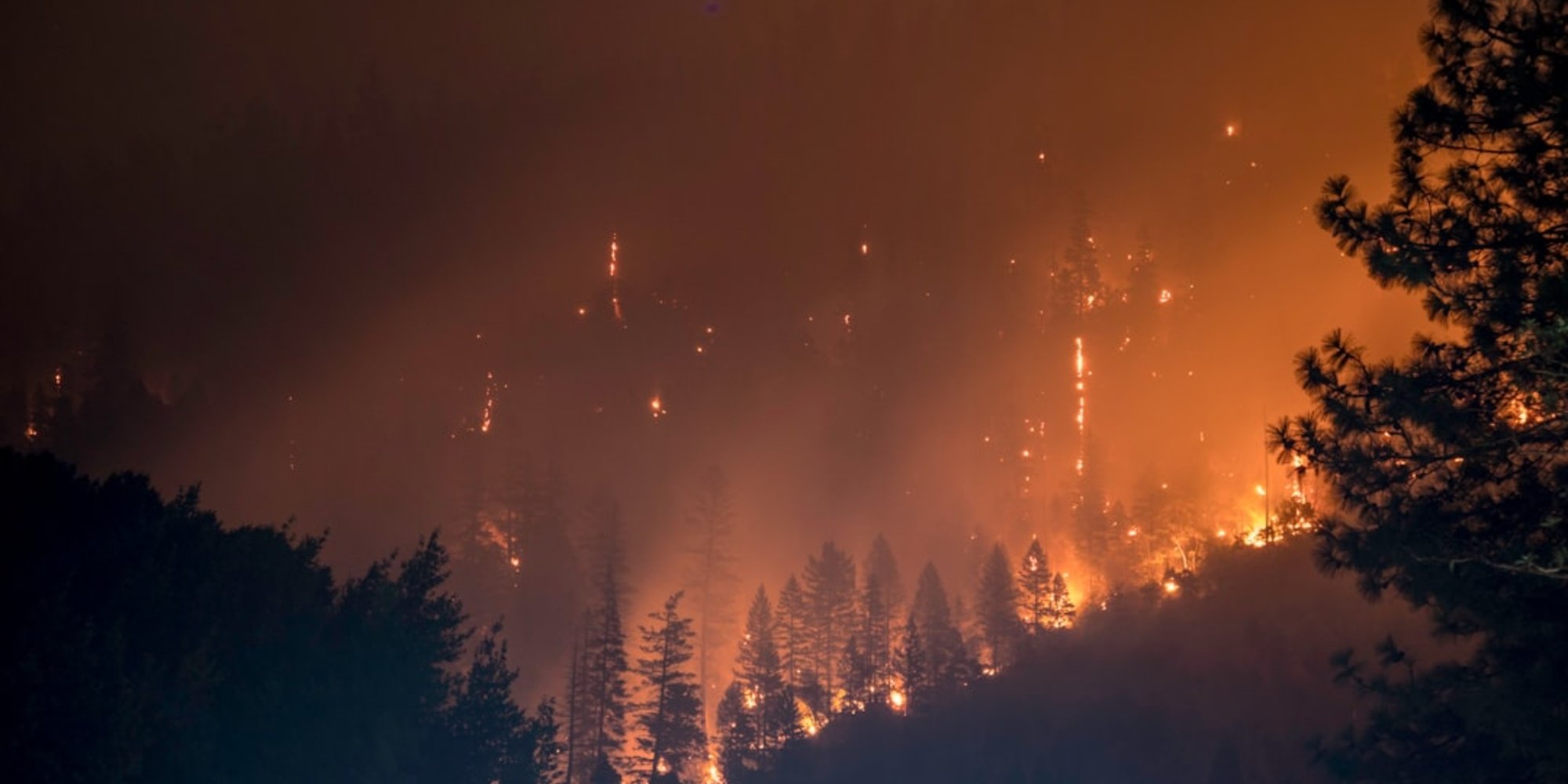 L'Indre et Loire mise sur l'IA pour lutter contre les feux de forêt